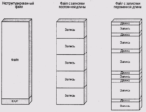 Иллюстрированный самоучитель по Computer Network The Hands