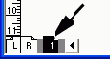  Adobe PageMaker