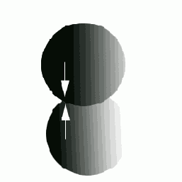   Adobe PageMaker