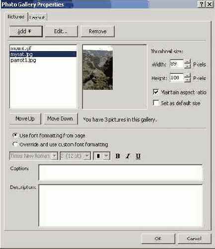    FrontPage