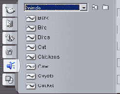 Pinnacle Studio 9
